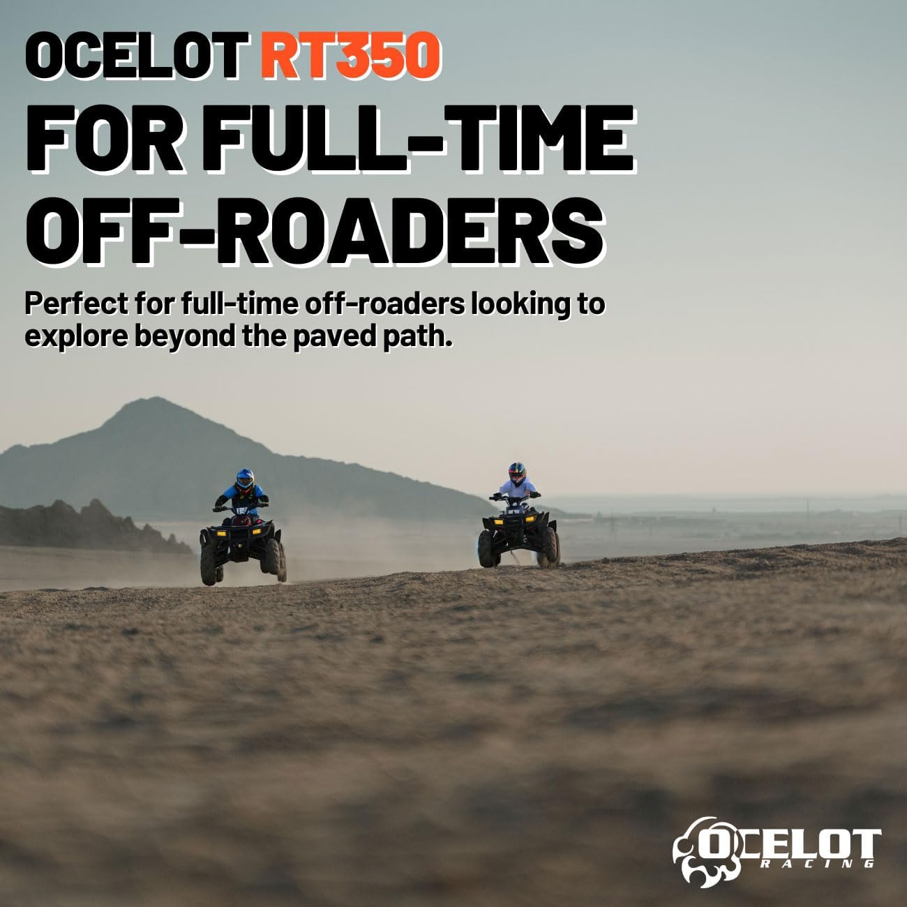 25x8x12 UTV Tires All-Terrain Tire 6-Ply Bias Non-Directional Aggressive Tread C7682