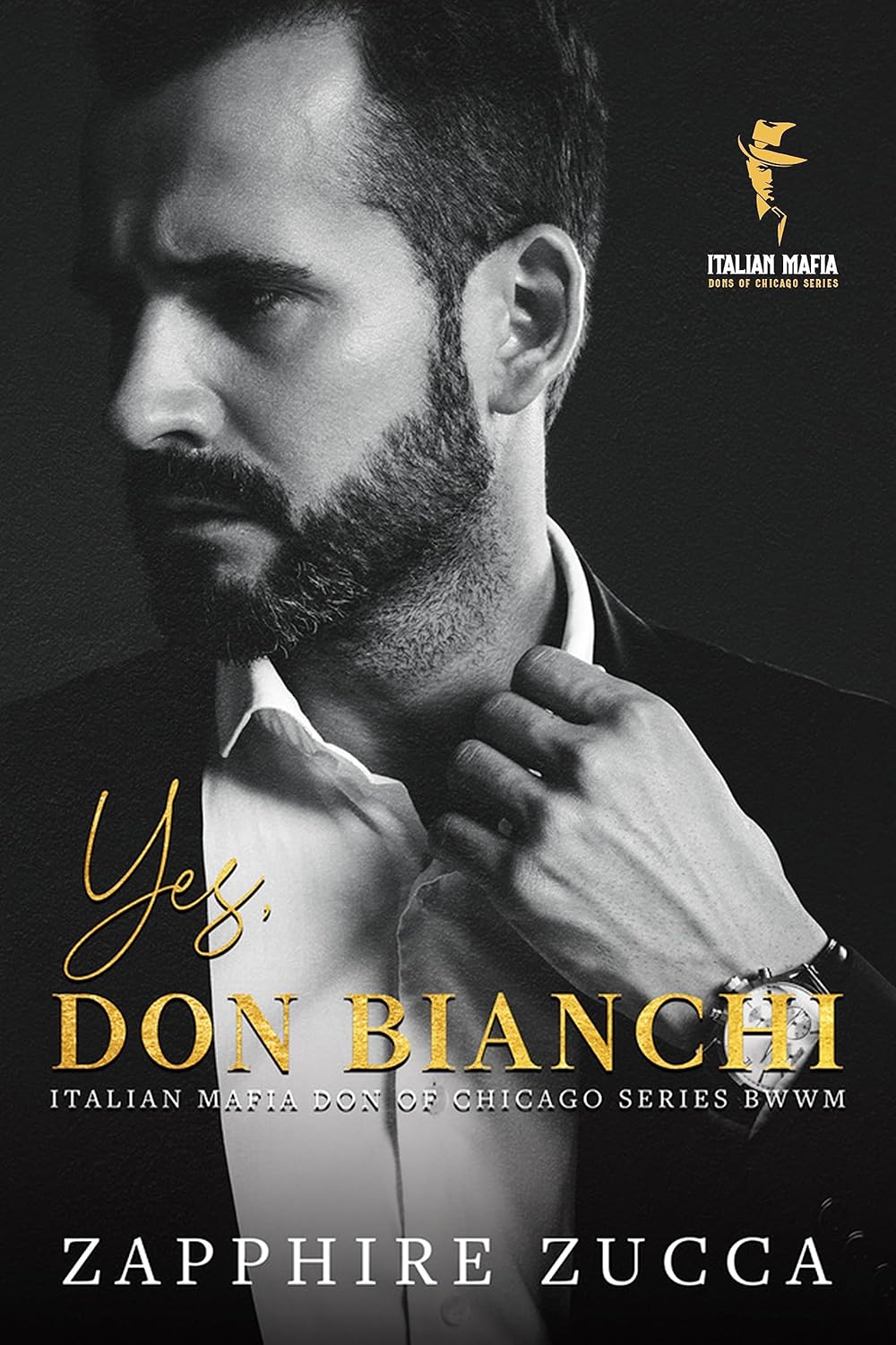 Italian Mafia Don of Chicago Series BWWM Book 1 M528681
