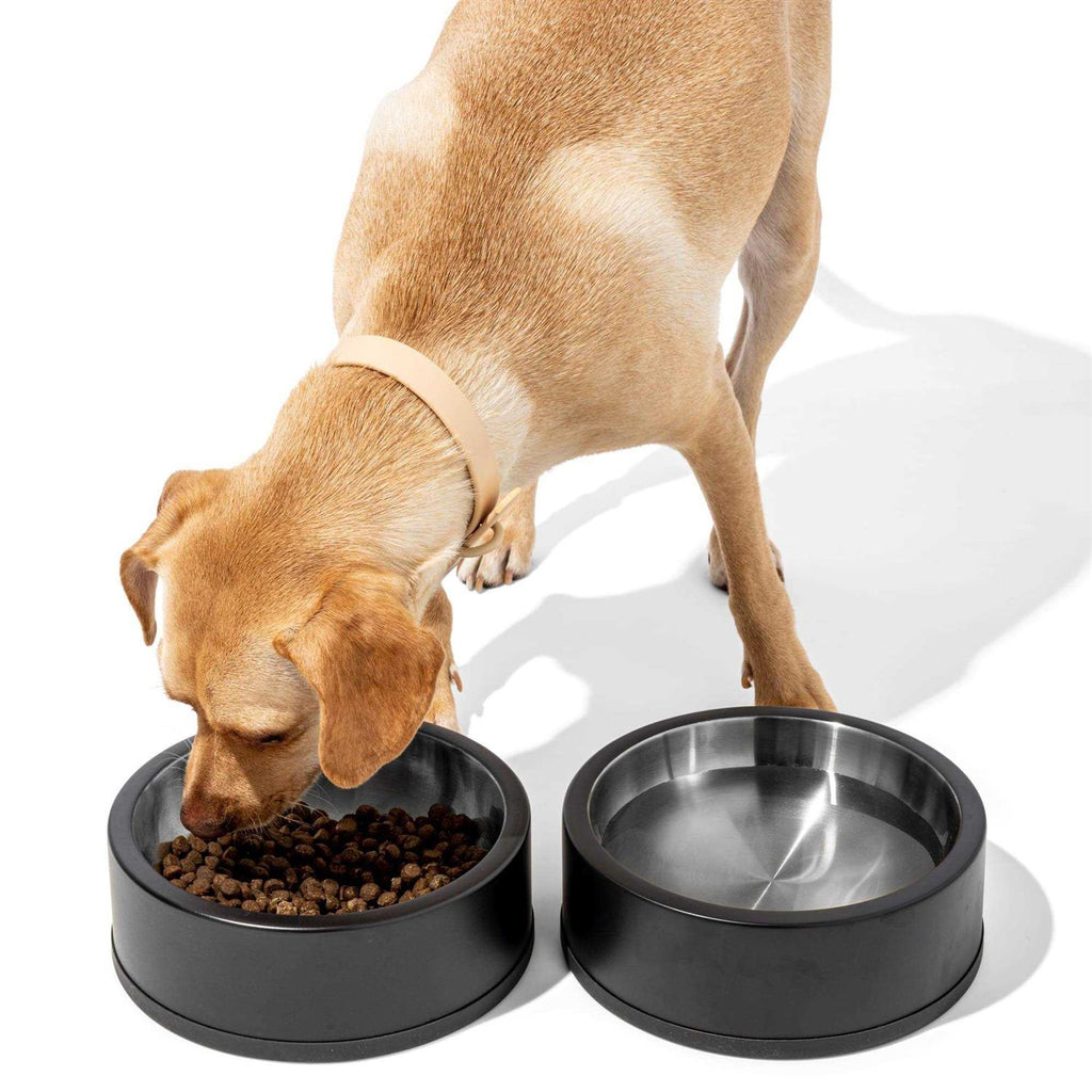 Pet Bowl F266