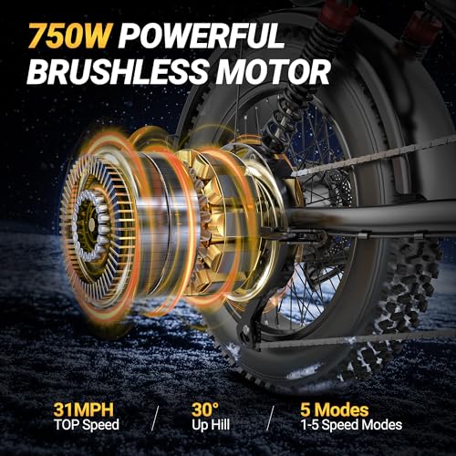 Electric Dirt Bike 750w 20" Full Suspension 48V 15.6AH Removable Battery 2 Seater Z21724