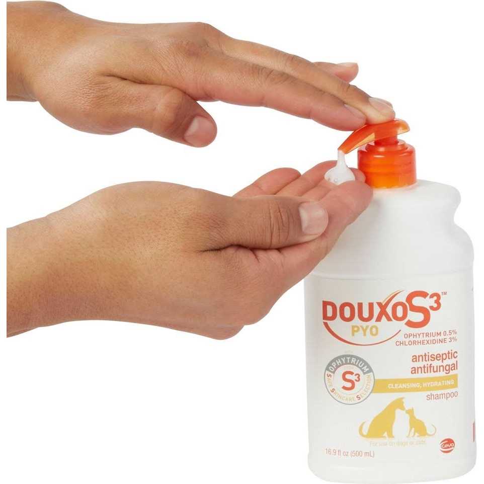 16.9 oz Shampoo Z4700
