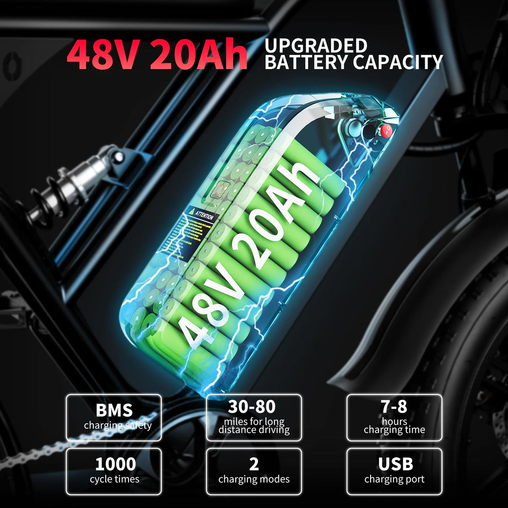 Electric Bike with 48V20Ah Removable Battery, 20" Fat Tire, Dual Shock Absorber L1208