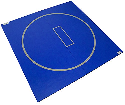 10'x10' Wrestling Mat F326