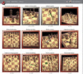 Chess Playing Software Program T222194