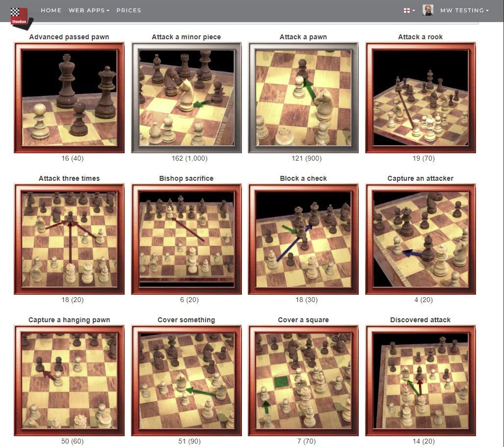 Chess Playing Software Program T222194