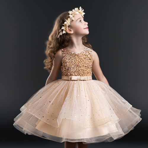 Flower Girl Dress Princess Birthday Party Wedding Gown Z3719