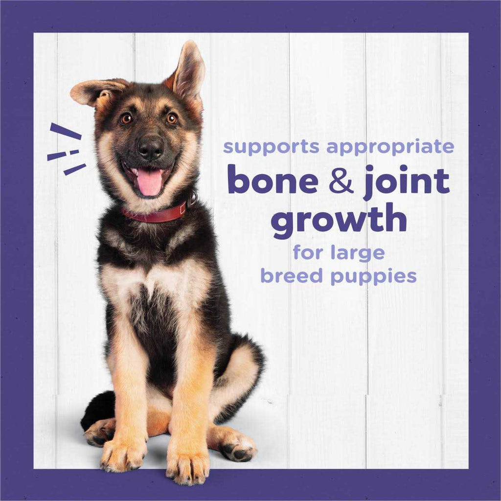 Large Breed Dry Puppy Food with Real Chicken H260