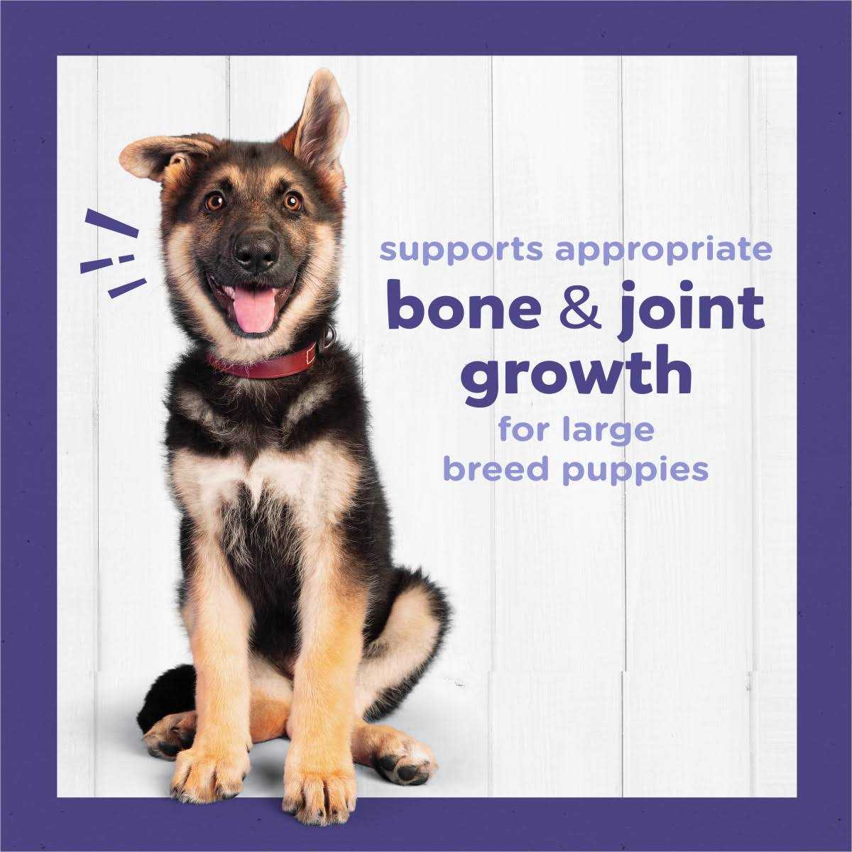 Large Breed Dry Puppy Food with Real Chicken H260