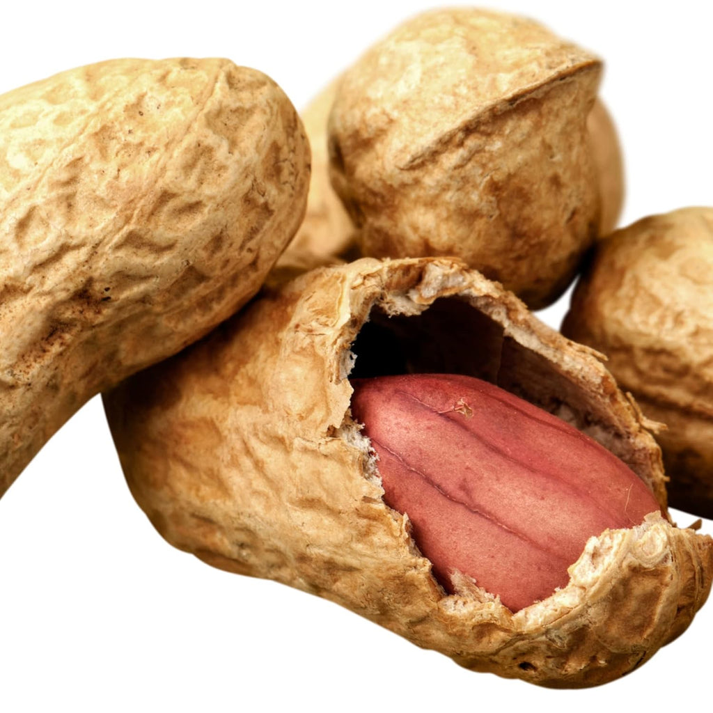 Bulk Raw Peanuts in Shell, Virginia Grown (25 lb box) E556