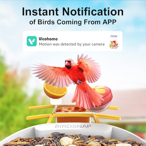 Smart Bird Feeder with Camera, 64G SD Card, Solar Panel G1530