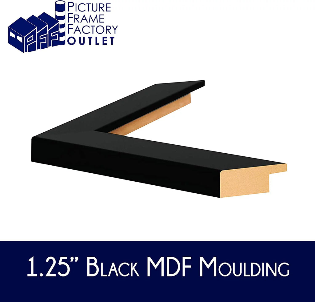 14.25x19.5 Black MDF Picture Frame with plexi-glass B719