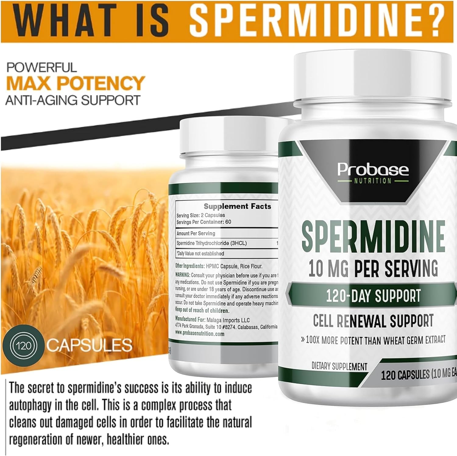 120 Capsules Spermidine W54253