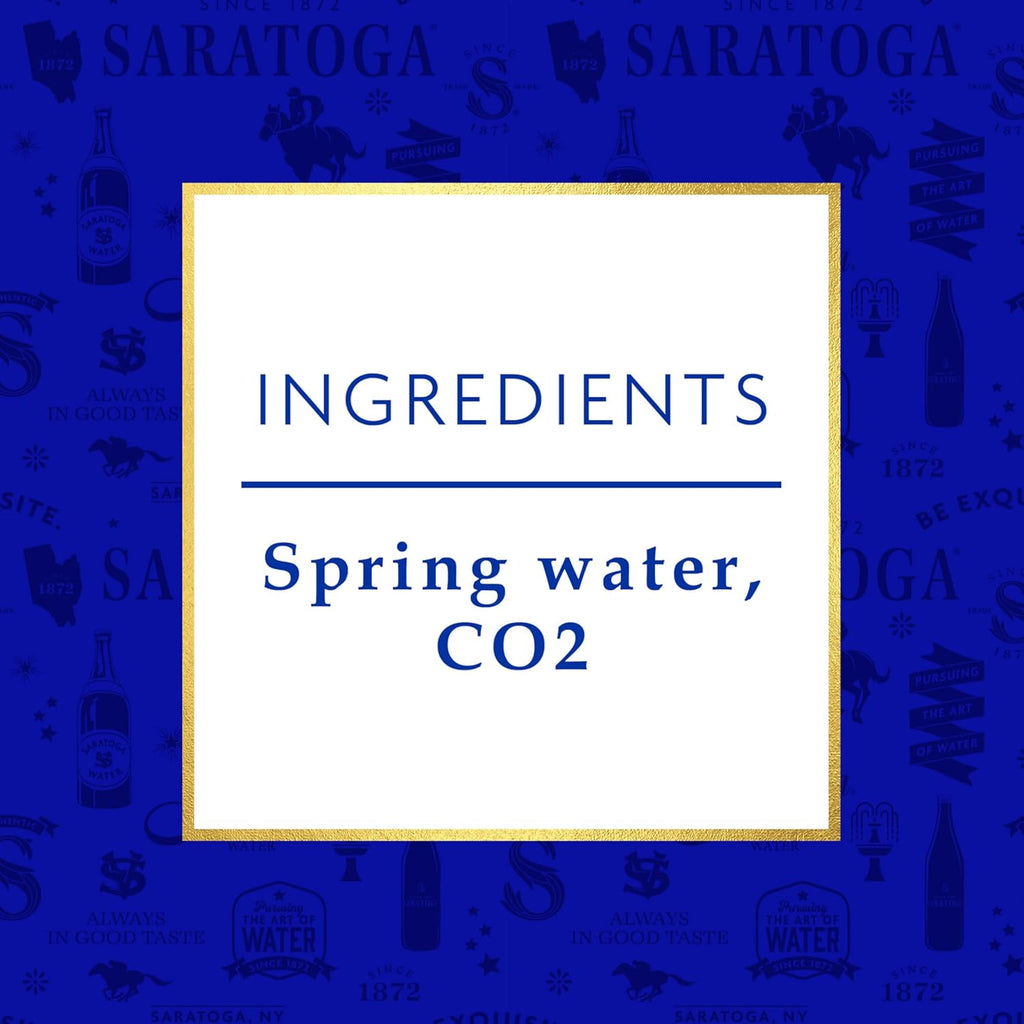 16 Oz Sparkling Spring Water Bottle PET N5448
