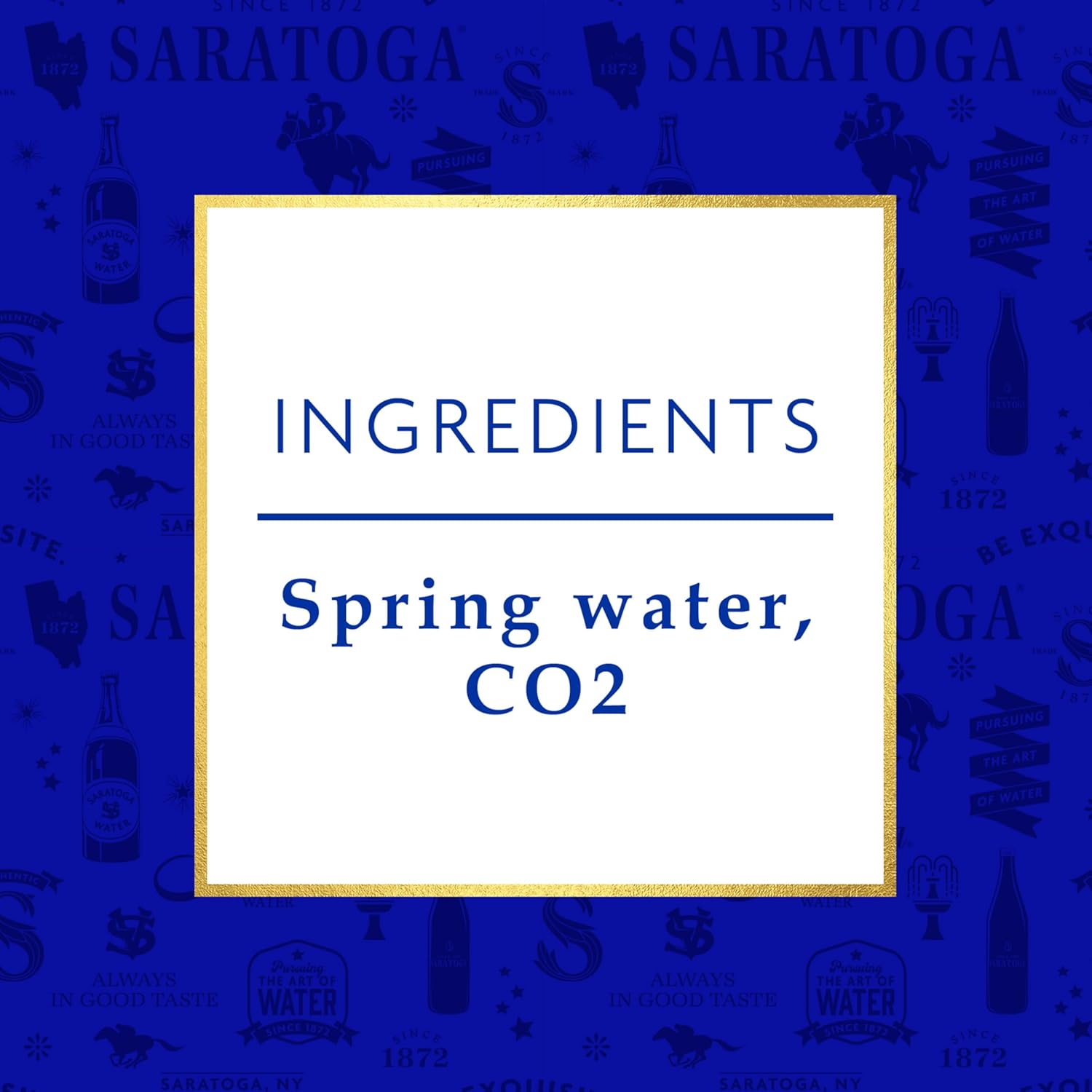 16 Oz Sparkling Spring Water Bottle PET N5448