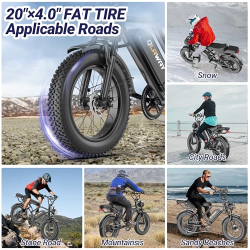Electric Dirt Bike 750w 20" Full Suspension 48V 15.6AH Removable Battery 2 Seater Z21724