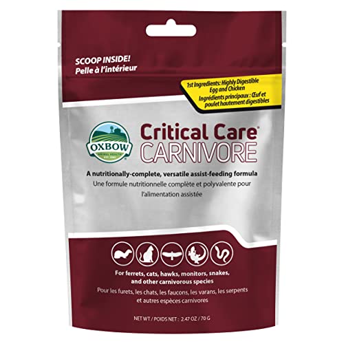 70 Gram Bag Carnivore Animal Food Z19327