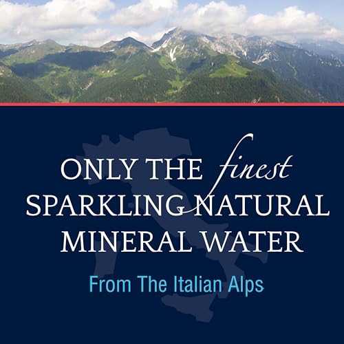 Sparkling Natural Mineral Water, 16.9 Fl Oz (Pack of 12) Y163
