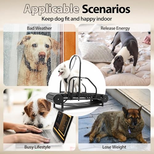 Non-Electric Dog Treadmill with Step Counter, Adjustable Incline & Brake W4740