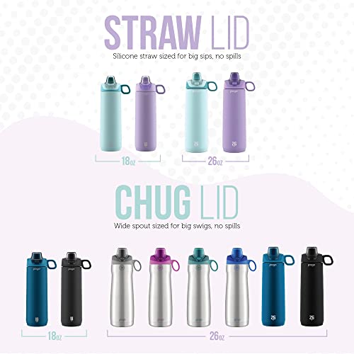 26 oz Vacuum Insulated Stainless Steel Water Bottle with Leak Proof Chug Lid and Silicone Carry Loop Y293