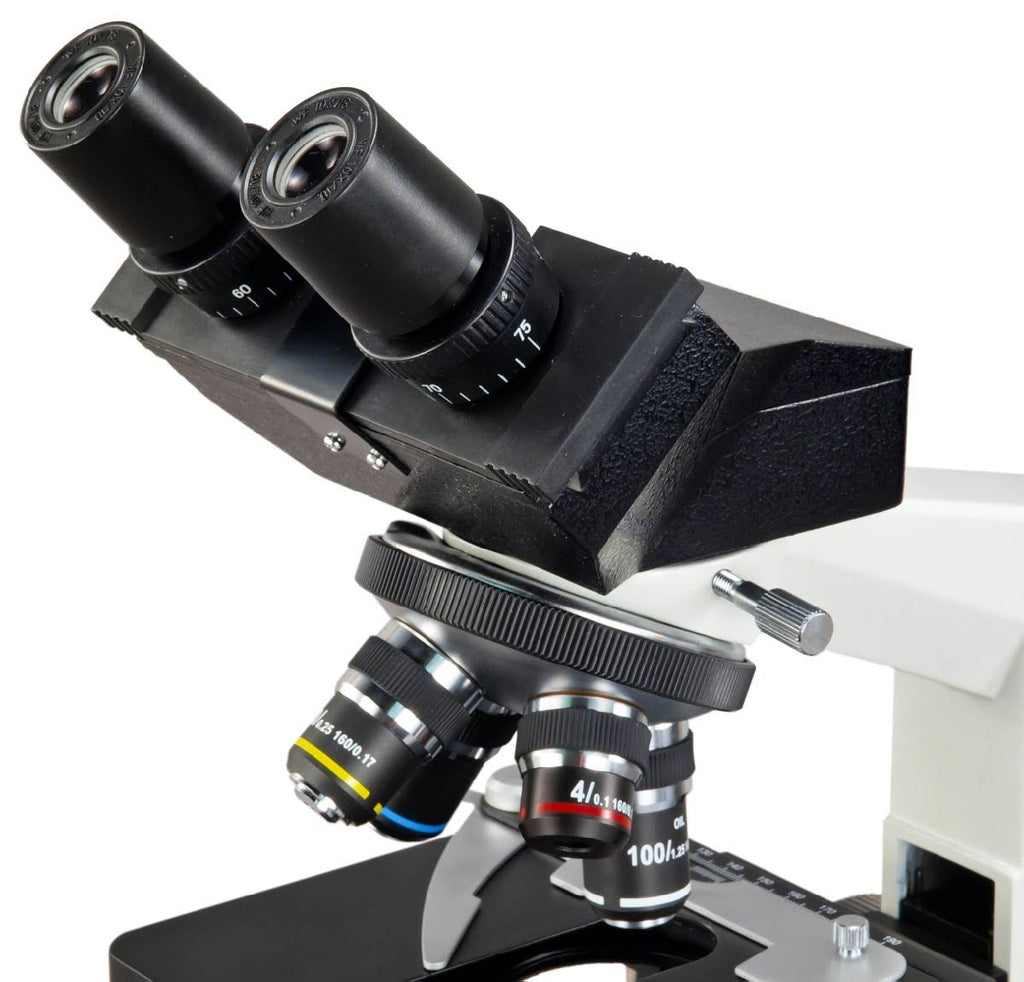40X-2000X Binocular Lab Compound Microscope with Double Layer Mechanical Stage D778836