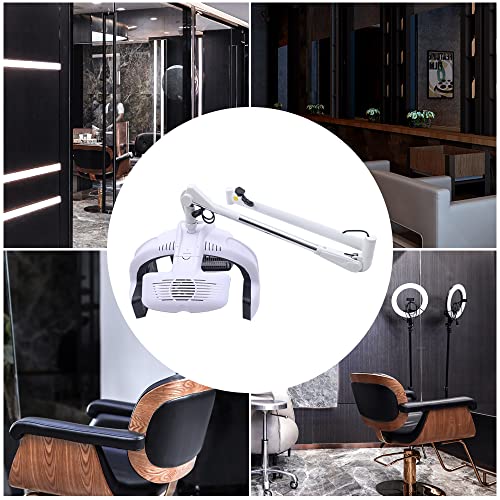 Wall Mounted Hair Dryer with Timer 110V 1250W V5517