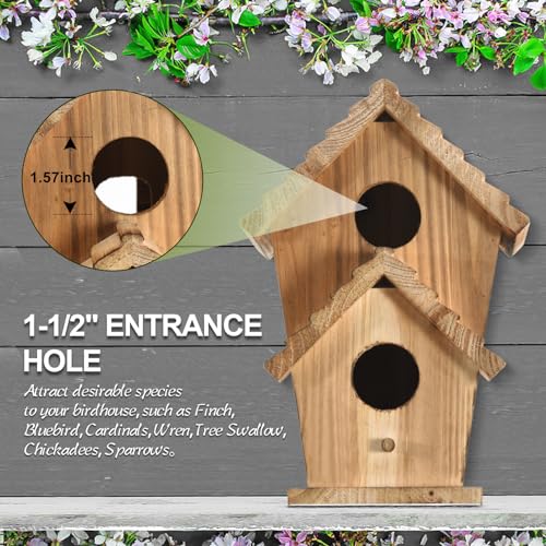 2 Hole Wooden Outdoor Bird House H8865