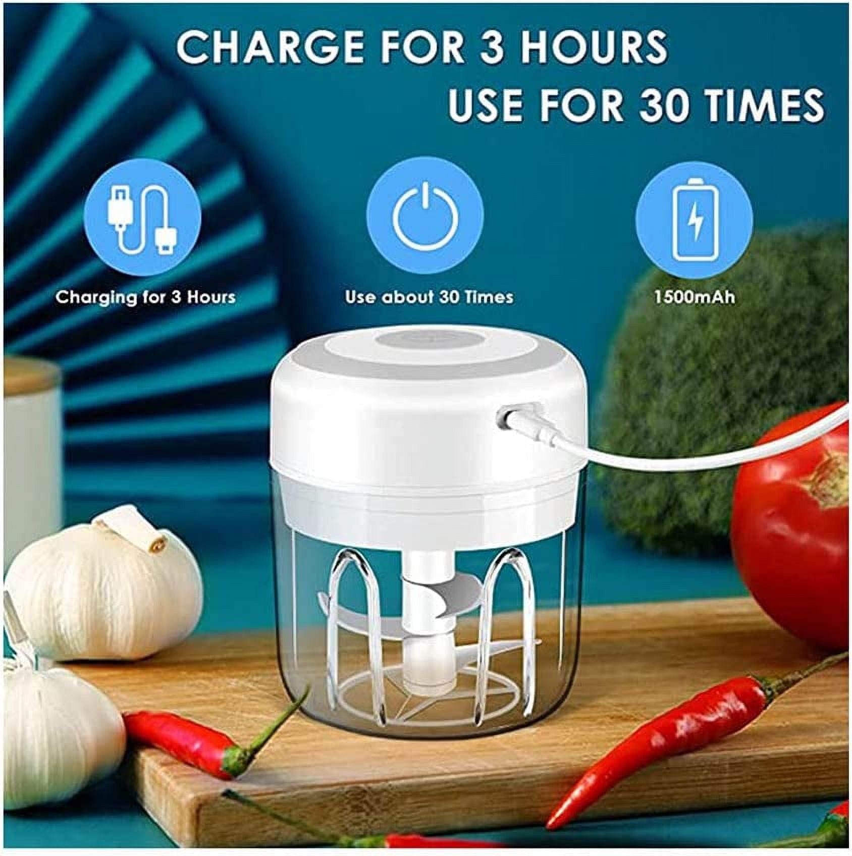 250ml Electric Mini Garlic Chopper Food Processor A300999