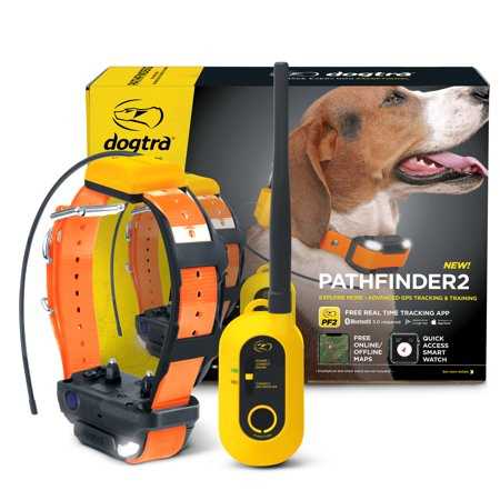 Black GPS Dog Training Collar System L67613