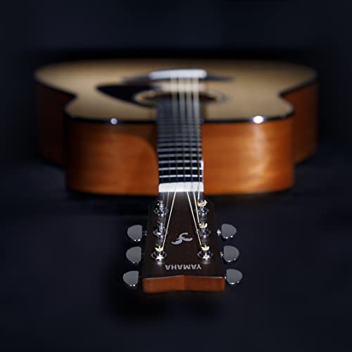 Natural Solid Top Acoustic Guitar P7501
