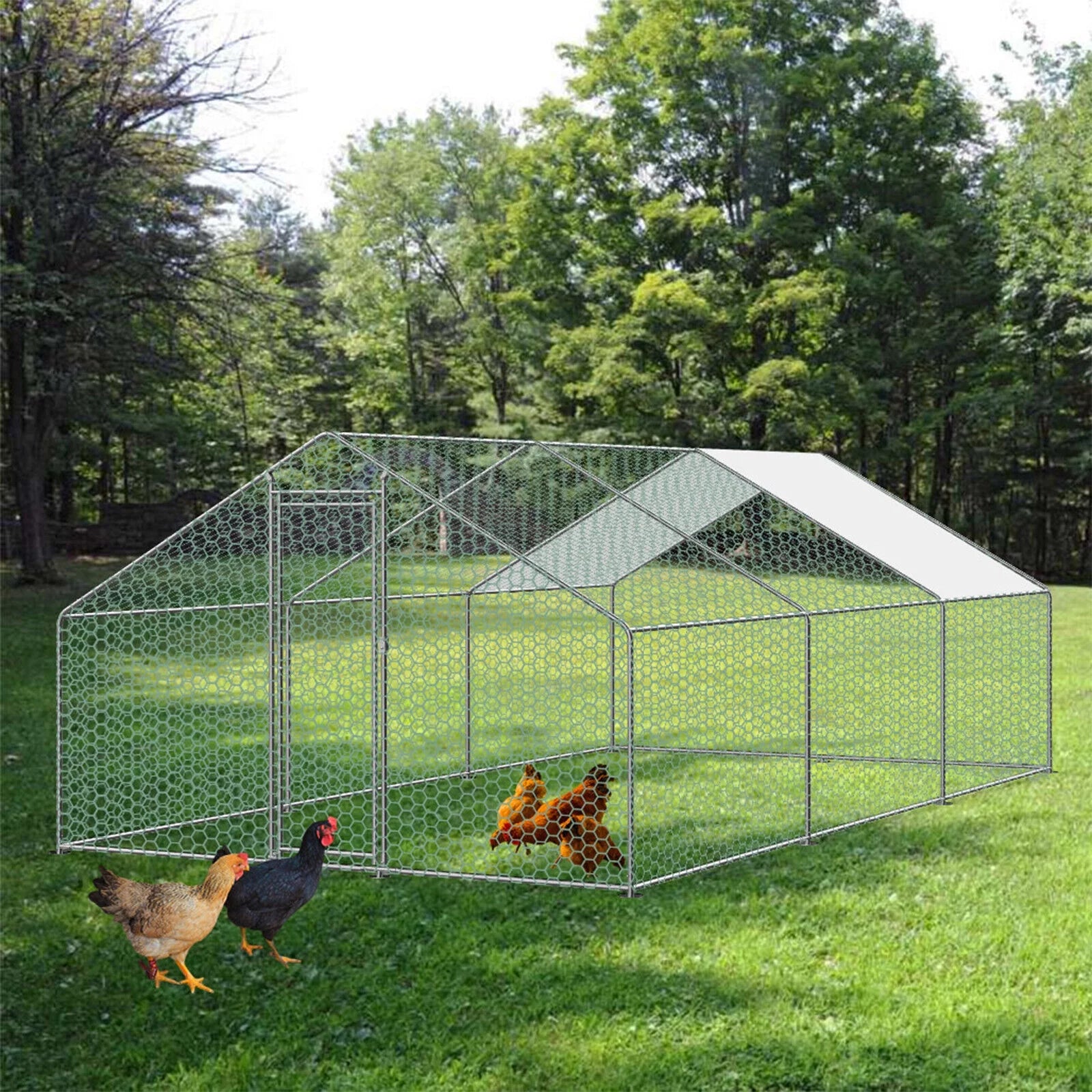 20'x10' Chicken Run Coop Hen House Enclosure Poultry Cage A922