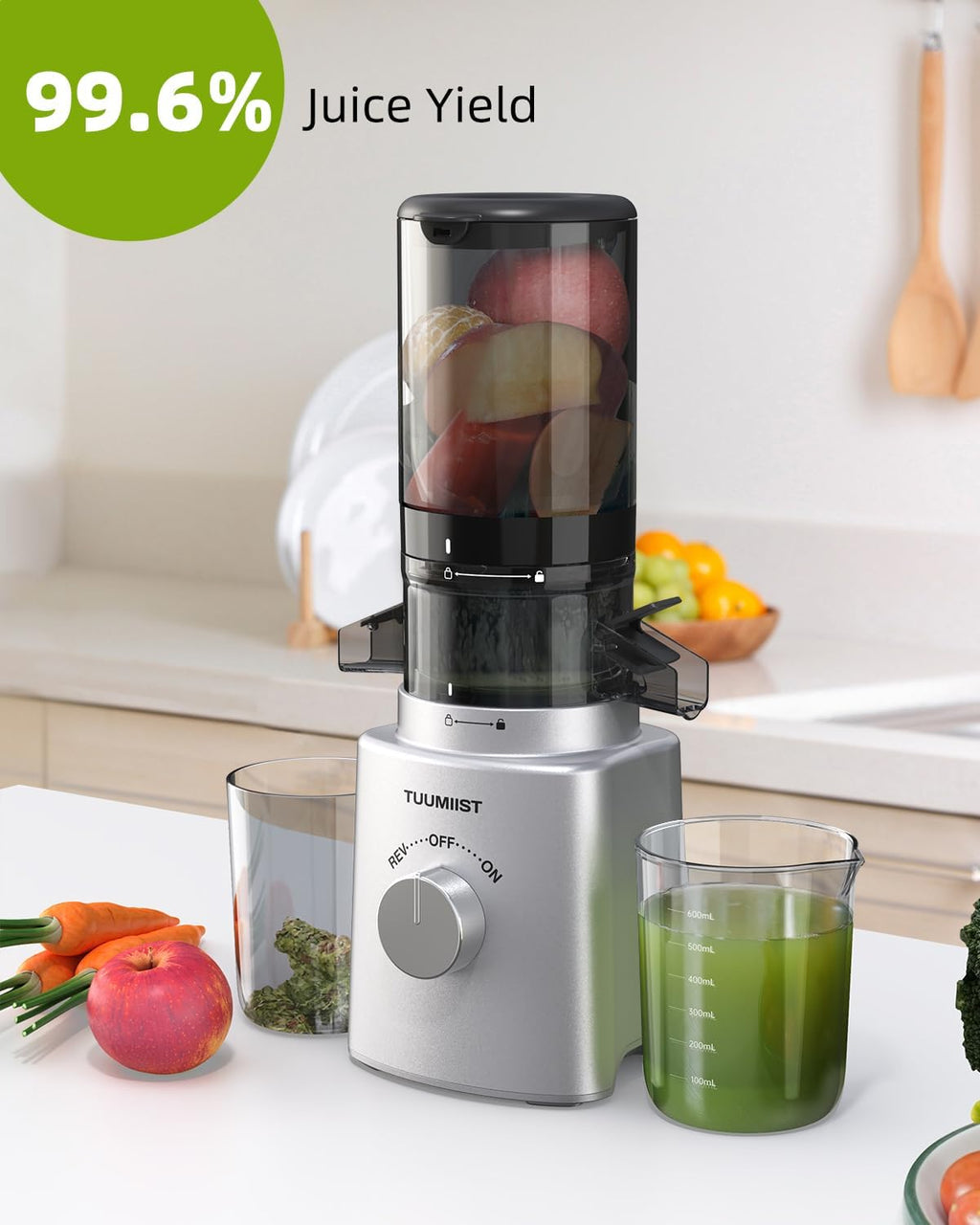Cold Press Masticating Juicer with Large Feed Chute H10086