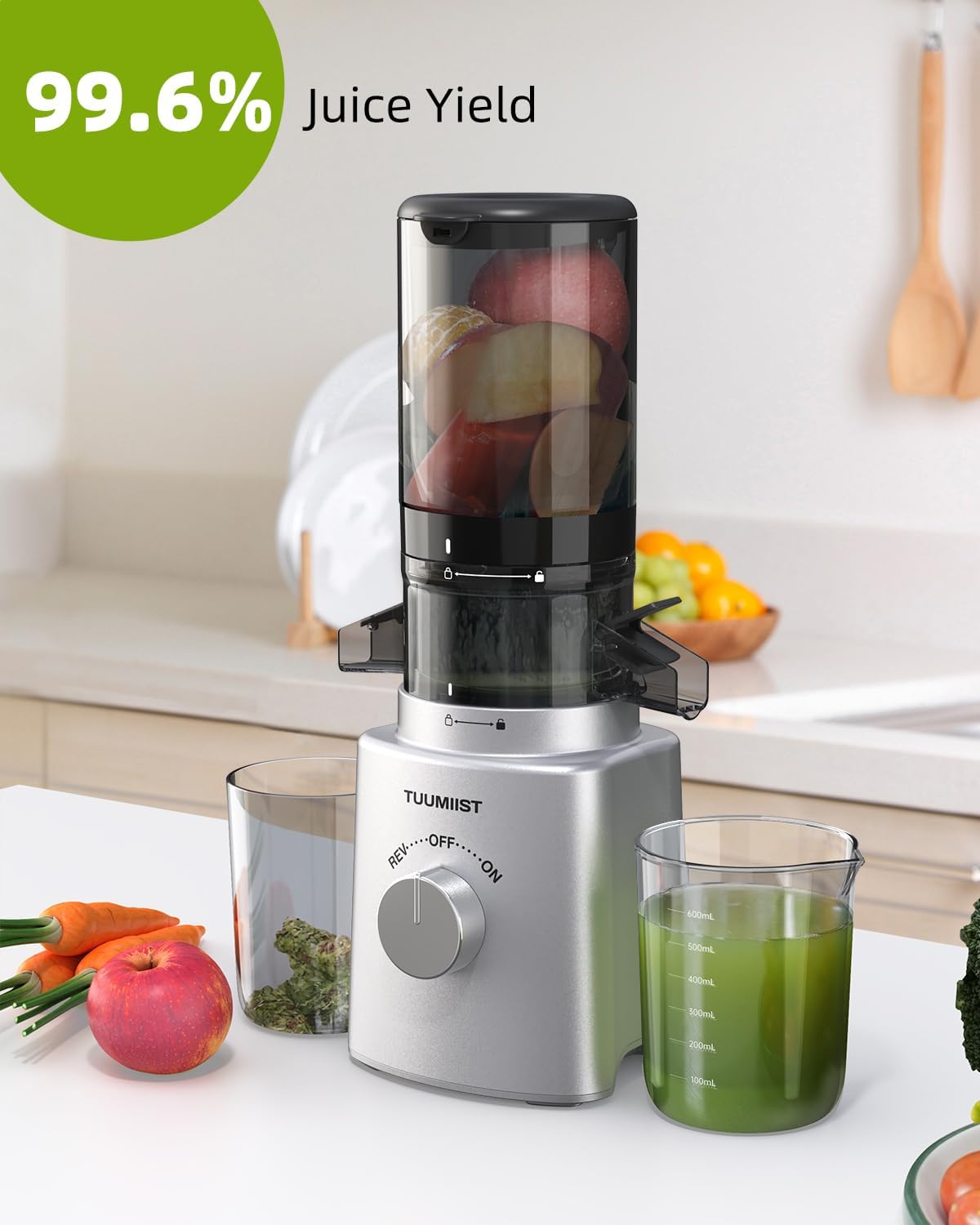 Cold Press Masticating Juicer with Large Feed Chute H10086