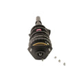 Strut and Coil Spring Assembly D6142