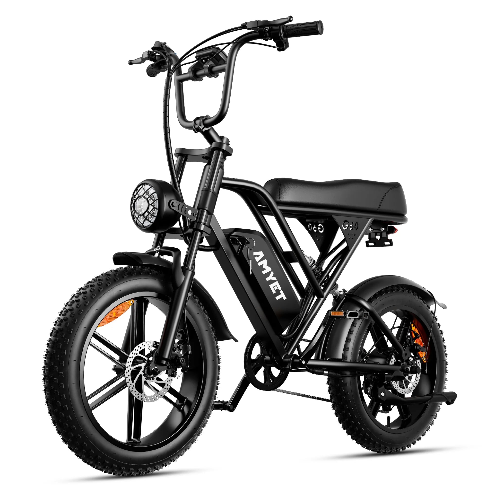 Electric Bike with 48V20Ah Removable Battery, 20" Fat Tire, Dual Shock Absorber L1208