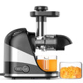 2 Modes Cold Press Masticating Juicer with Quiet Motor E39681