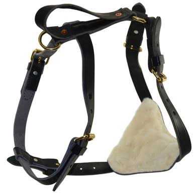 Leather Tracking Harness C846749
