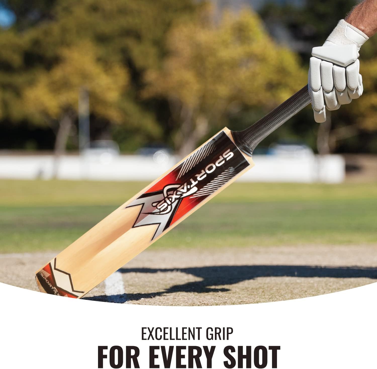 Wooden Kashmir Willow Cricket Bat with Foam-Padded Bag Y496