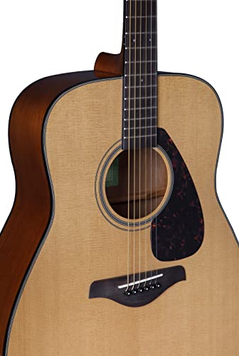 Natural Solid Top Acoustic Guitar P7501