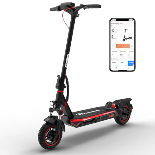 800W Electric Scooter with 10'' Honeycomb Solid Tires L6667