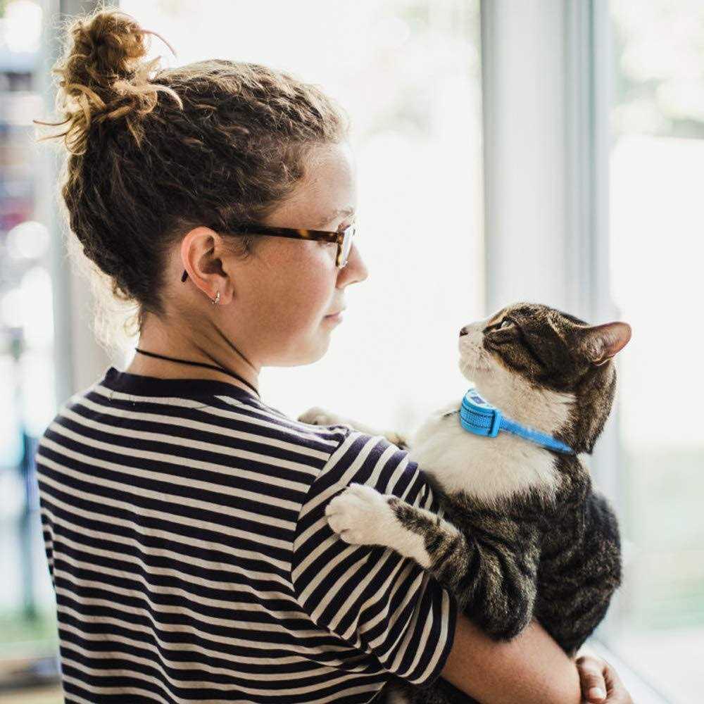 Cat Shock Collar for Cats U547