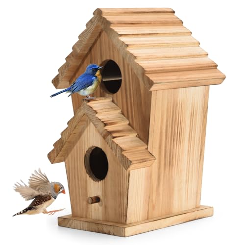 2 Hole Wooden Outdoor Bird House H8865