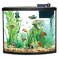 Bow Front Aquarium Tank Starter Kit L595
