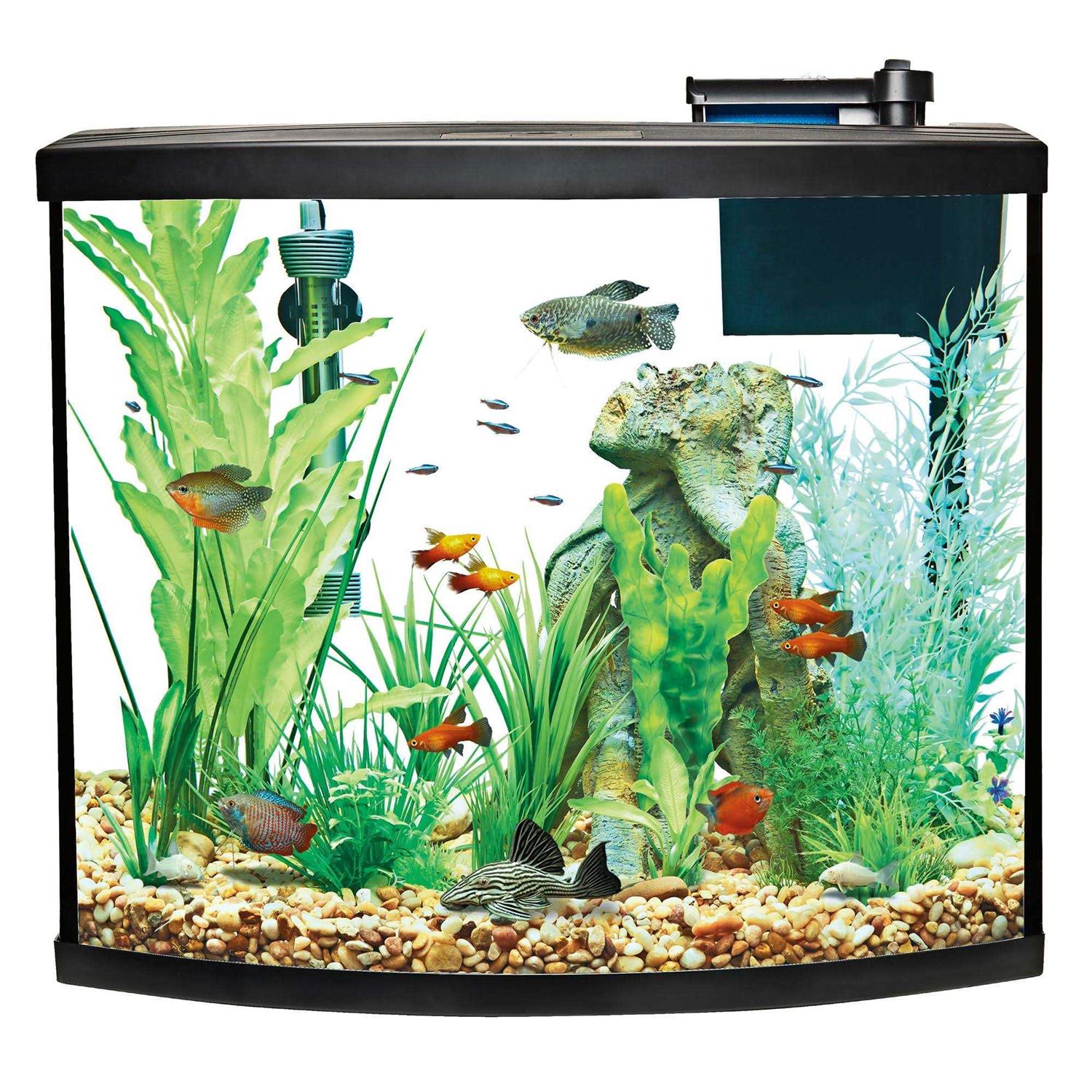 Bow Front Aquarium Tank Starter Kit L595