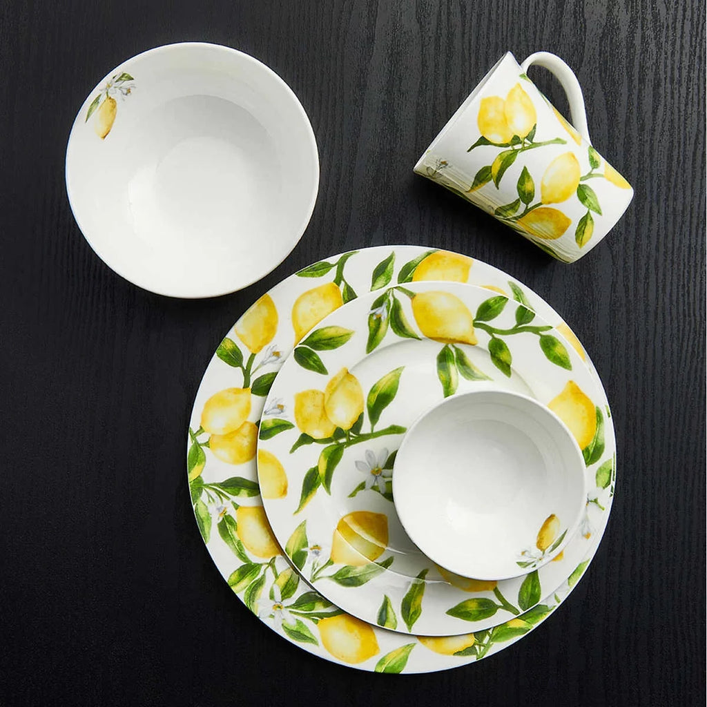 40-piece Dinnerware Set C501