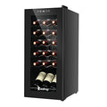 12 Bottle Compressor Wine Cooler with Double-Layer Glass Door Z858453