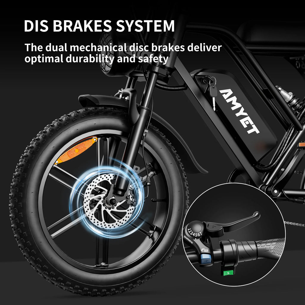Electric Bike with 48V20Ah Removable Battery, 20" Fat Tire, Dual Shock Absorber L1208