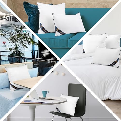 Pack of 2 White 18 x 18 Inches Throw Pillow Inserts I19879