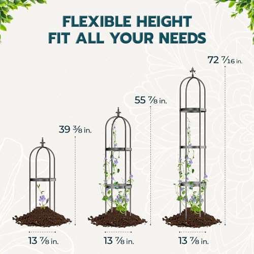 6ft Black Metal Obelisk Trellis for Climbing Plants Z31614