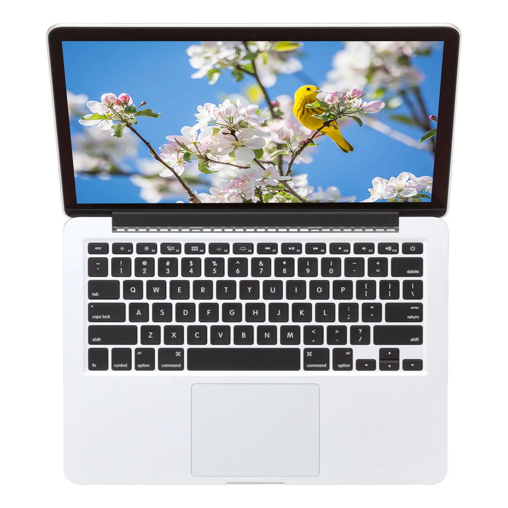 13.3-inch Intel Core i5 8GB RAM 256GB MacBook Pro (Refurbished) K2008