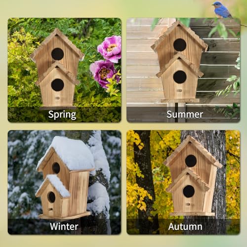 2 Hole Wooden Outdoor Bird House H8865